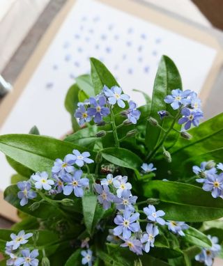 Přeji všem krásnou neděli ❤️ I když to tak nevypadá, tak pořád pracuji. A mám pro vás skvělou zprávu. V neděli 16.4. se...